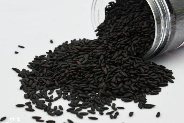 黑米是發(fā)物嗎 不屬于發(fā)物 黑米是發(fā)物嗎 不屬于發(fā)物