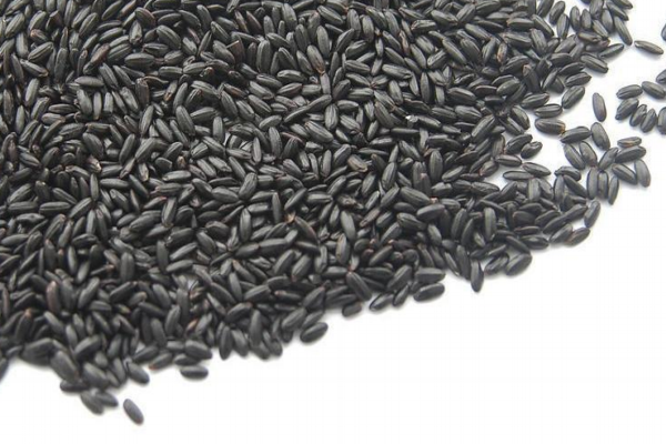 黑米是染色的嗎 染色黑米是假的 黑米是染色的嗎 染色黑米是假的