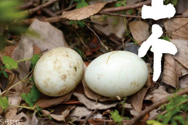 鴨蛋有什么營養(yǎng)價(jià)值 營養(yǎng)多多 鴨蛋有什么營養(yǎng)價(jià)值 營養(yǎng)多多