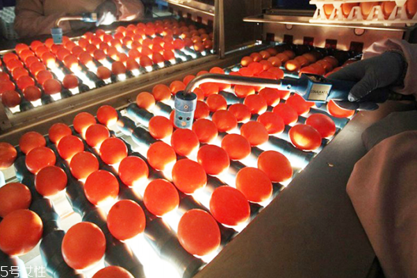 皮蛋為什么不能吃多 傷害很大 皮蛋為什么不能吃多 傷害很大