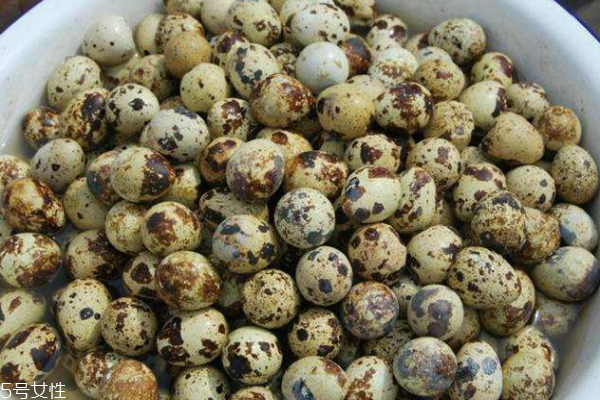 鵪鶉蛋可以豐胸嗎 不容錯過的豐胸法 鵪鶉蛋可以豐胸嗎 不容錯過的豐胸法