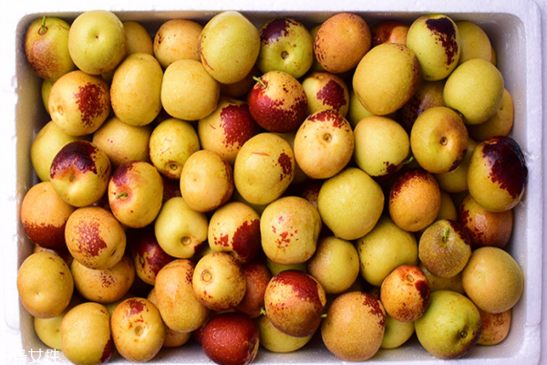 冬棗可以和李子一起吃嗎 它們不相克 冬棗可以和李子一起吃嗎 它們不相克