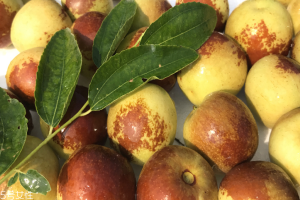 冬棗可以和李子一起吃嗎 它們不相克 冬棗可以和李子一起吃嗎 它們不相克