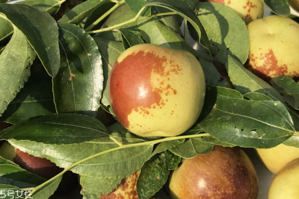 冬棗可以和火龍果一起吃嗎 一起吃是可以的 冬棗可以和火龍果一起吃嗎 一起吃是可以的