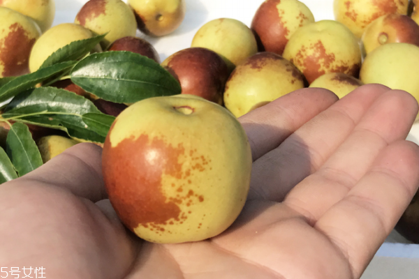 冬棗可以和火龍果一起吃嗎 一起吃是可以的 冬棗可以和火龍果一起吃嗎 一起吃是可以的