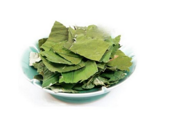 荷葉茶喝熱的還是冷的 熱的好吸收 荷葉茶喝熱的還是冷的 熱的好吸收