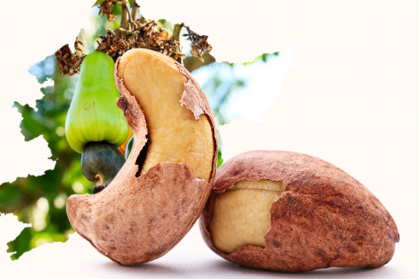 腰果可以放冰箱嗎 可以這樣做 腰果可以放冰箱嗎 可以這樣做