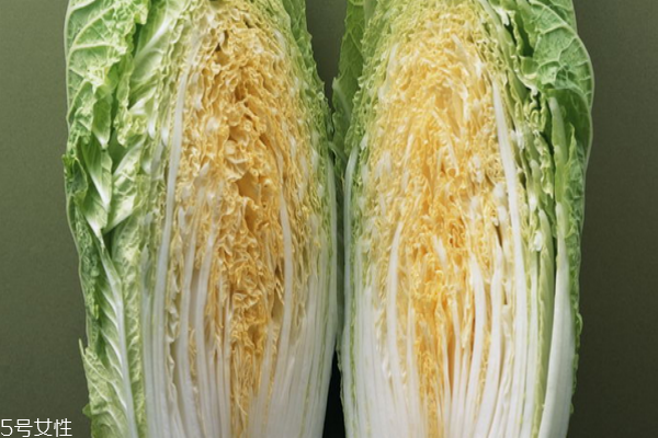白菜怎么挑選 知道這些就夠了 白菜怎么挑選 知道這些就夠了