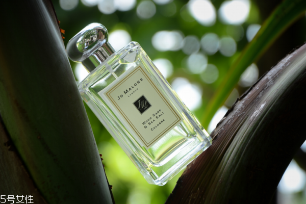 馥奇香調(diào)的香水有哪些 馥奇香調(diào)適合什么人 馥奇香調(diào)的香水有哪些 馥奇香調(diào)適合什么人