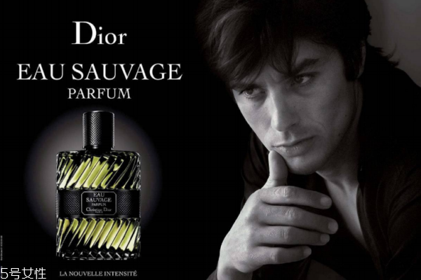 馥奇香調(diào)的香水有哪些 馥奇香調(diào)適合什么人 馥奇香調(diào)的香水有哪些 馥奇香調(diào)適合什么人