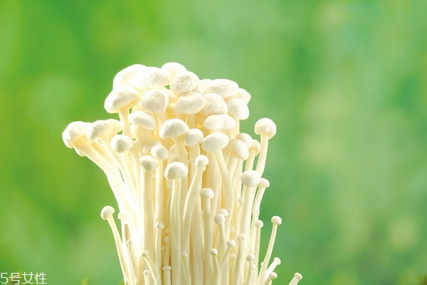 金針菇煮多久才熟 不用很久 金針菇煮多久才熟 不用很久