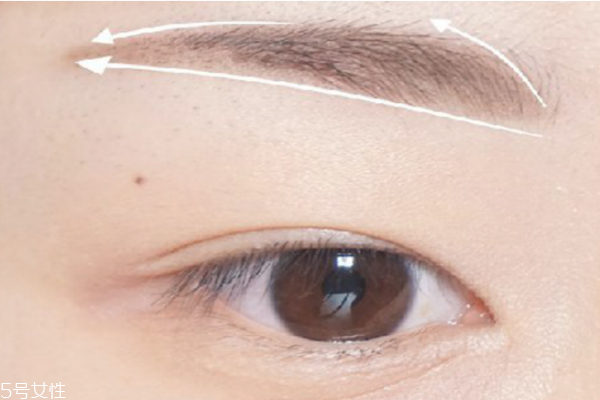 羽玉眉的畫法分解圖 羽玉眉適合的臉型 羽玉眉的畫法分解圖 羽玉眉適合的臉型