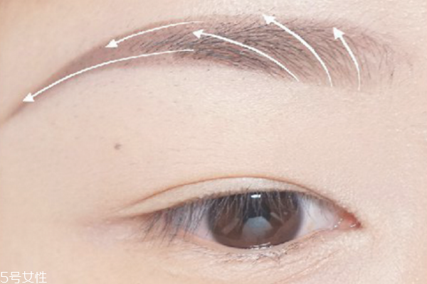 柳葉眉怎么畫 柳葉眉的畫法 柳葉眉怎么畫 柳葉眉的畫法
