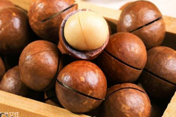 夏威夷果越大越好嗎 越大越有營養(yǎng) 夏威夷果越大越好嗎 越大越有營養(yǎng)