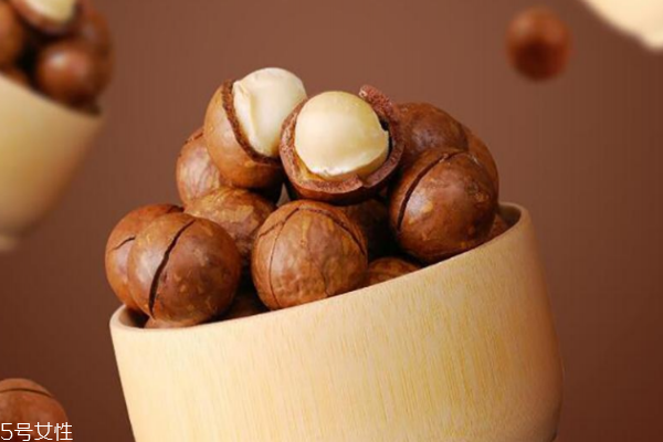 夏威夷果越大越好嗎 越大越有營養(yǎng) 夏威夷果越大越好嗎 越大越有營養(yǎng)