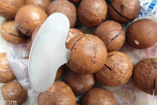 夏威夷果越大越好嗎 越大越有營養(yǎng) 夏威夷果越大越好嗎 越大越有營養(yǎng)
