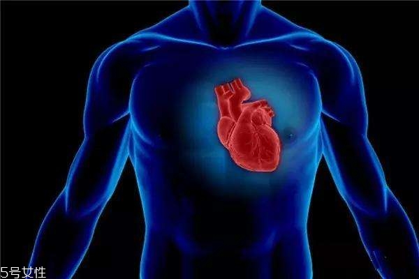 有利于降低高血壓和調(diào)節(jié)作用的食物 有利于降低高血壓和調(diào)節(jié)作用的食物