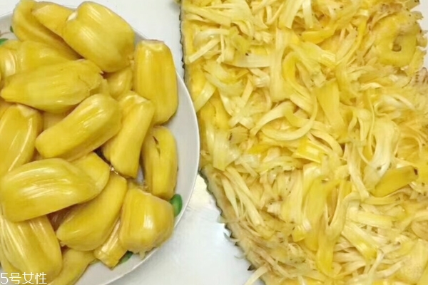 菠蘿蜜怎么催熟 這樣做就行了 菠蘿蜜怎么催熟 這樣做就行了