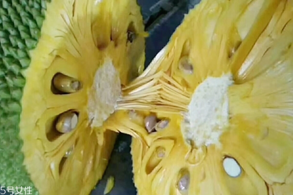 菠蘿蜜怎么催熟 這樣做就行了 菠蘿蜜怎么催熟 這樣做就行了