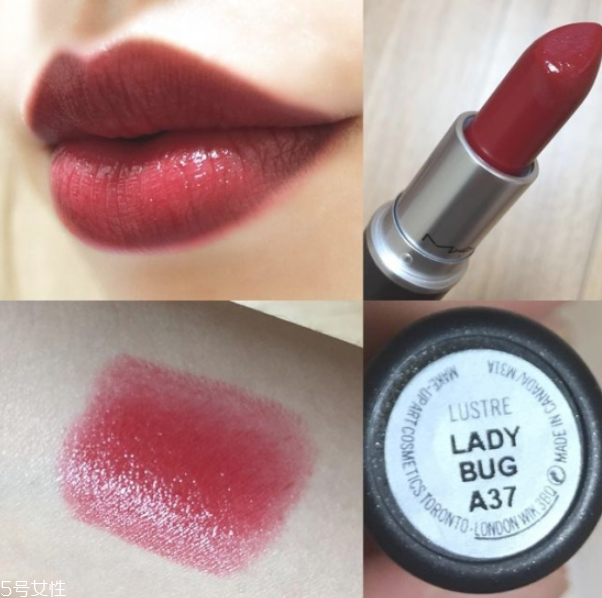 mac ladybug和迪奧999哪個(gè)好 mac ladybug試色 mac ladybug和迪奧999哪個(gè)好 mac ladybug試色