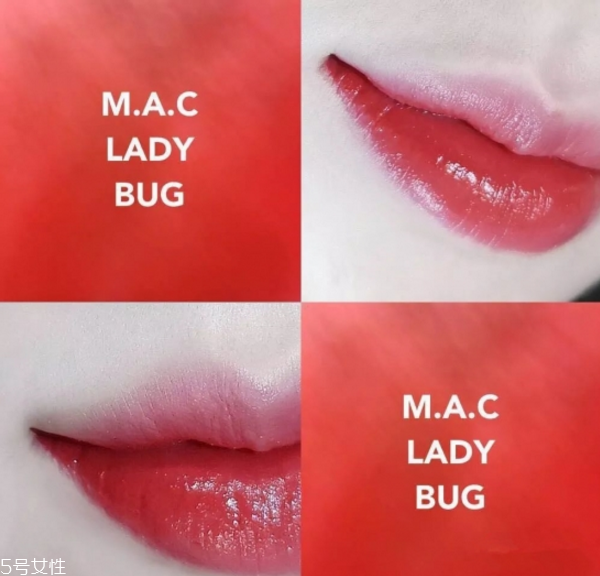 mac ladybug和迪奧999哪個(gè)好 mac ladybug試色 mac ladybug和迪奧999哪個(gè)好 mac ladybug試色