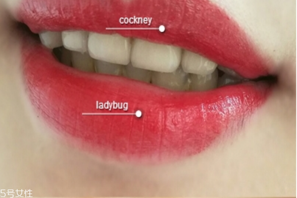 mac cockney和ladybug哪個好 mac cockney試色 mac cockney和ladybug哪個好 mac cockney試色