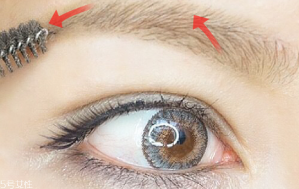 歐美眉毛怎么畫 歐美眉毛畫法步驟圖解 歐美眉毛怎么畫 歐美眉毛畫法步驟圖解