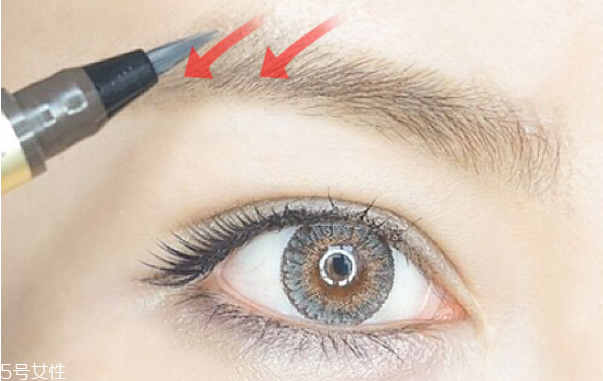 歐美眉毛怎么畫 歐美眉毛畫法步驟圖解 歐美眉毛怎么畫 歐美眉毛畫法步驟圖解