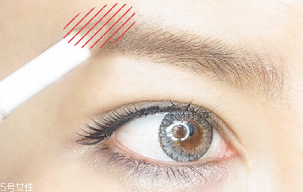 歐美眉毛怎么畫 歐美眉毛畫法步驟圖解 歐美眉毛怎么畫 歐美眉毛畫法步驟圖解