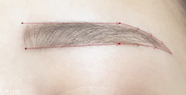 歐美野生眉怎么畫 眉毛的畫法步驟圖解 歐美野生眉怎么畫 眉毛的畫法步驟圖解