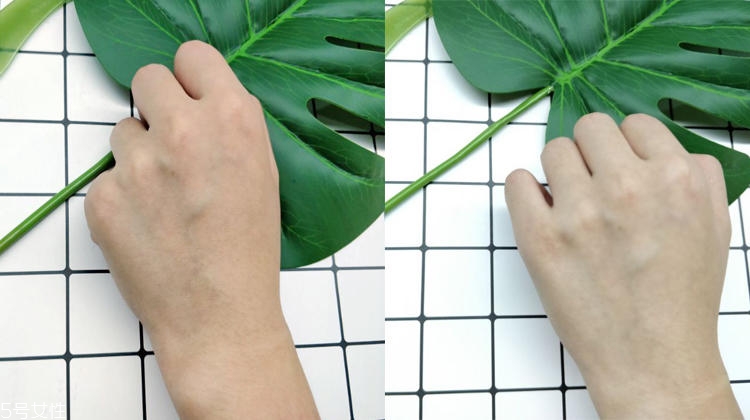 佰草集大白泥好用嗎 海藍之謎美白面膜的平價替代 佰草集大白泥好用嗎 海藍之謎美白面膜的平價替代