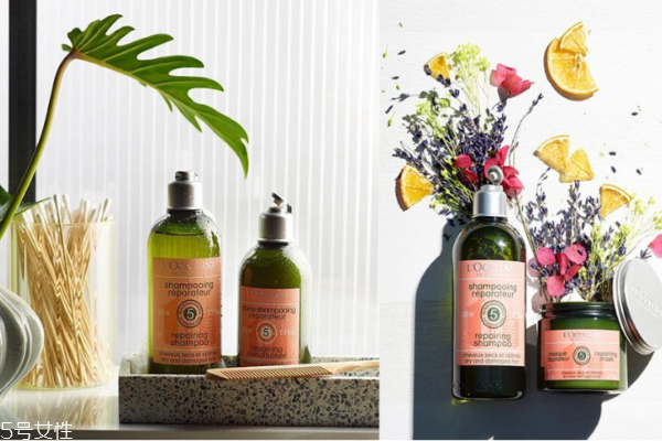 頭發(fā)油掉發(fā)用什么洗發(fā)水 推薦5款油頭洗發(fā)水 頭發(fā)油掉發(fā)用什么洗發(fā)水 推薦5款油頭洗發(fā)水