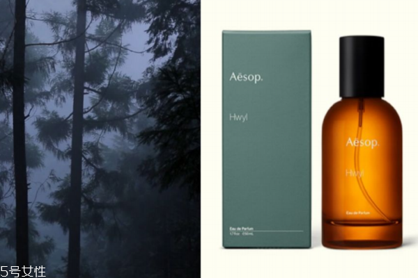 木質(zhì)香水哪個牌子好 知性男女最愛的5款木質(zhì)調(diào)香水 木質(zhì)香水哪個牌子好 知性男女最愛的5款木質(zhì)調(diào)香水