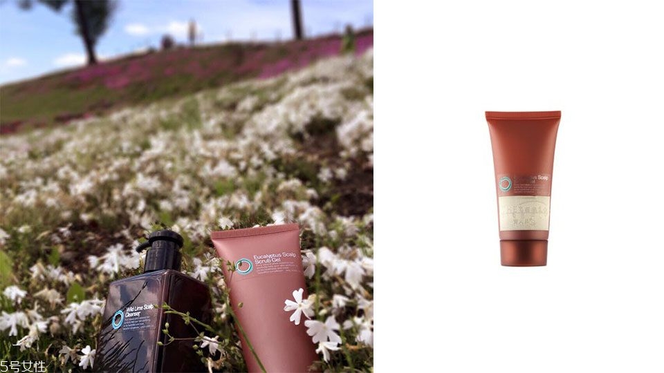 頭發(fā)油掉發(fā)用什么洗發(fā)水 推薦5款油頭洗發(fā)水 頭發(fā)油掉發(fā)用什么洗發(fā)水 推薦5款油頭洗發(fā)水