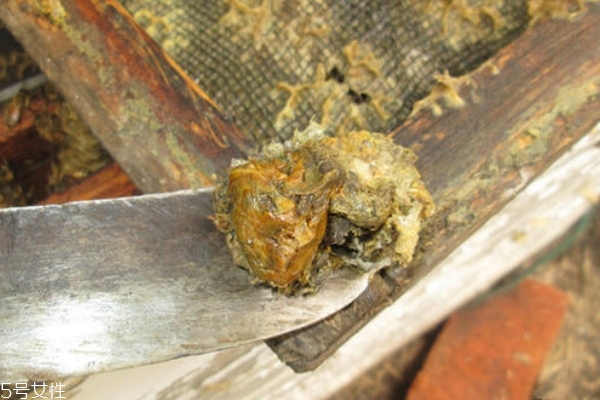 蜂膠怎么吃一天吃多少 這里的回答最全 蜂膠怎么吃一天吃多少 這里的回答最全