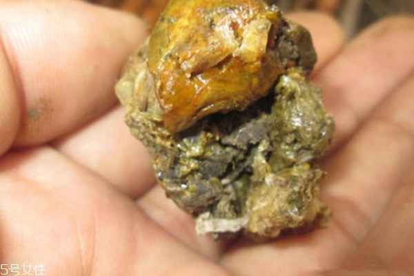 蜂膠怎么泡酒 其實(shí)并不難 蜂膠怎么泡酒 其實(shí)并不難