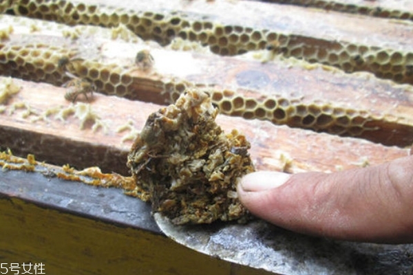 蜂膠怎么泡酒 其實(shí)并不難 蜂膠怎么泡酒 其實(shí)并不難