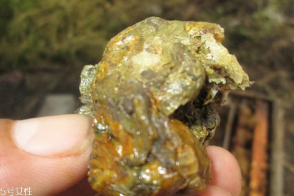 蜂膠怎么泡酒 其實(shí)并不難 蜂膠怎么泡酒 其實(shí)并不難