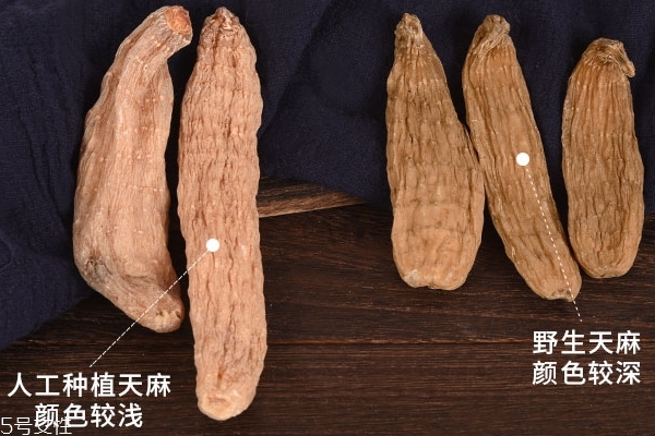 天麻怎么選 3招選到好品質(zhì) 天麻怎么選 3招選到好品質(zhì)