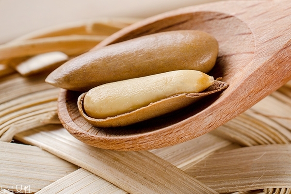 松子怎么保存能放多久 必看的小知識(shí) 松子怎么保存能放多久 必看的小知識(shí)