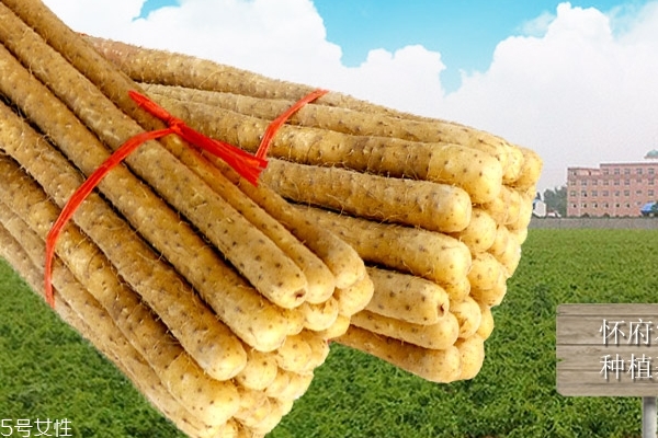 山藥怎么保存 最詳細的保存方法 山藥怎么保存 最詳細的保存方法