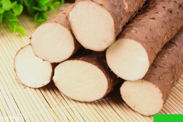 山藥怎么保存 最詳細的保存方法 山藥怎么保存 最詳細的保存方法