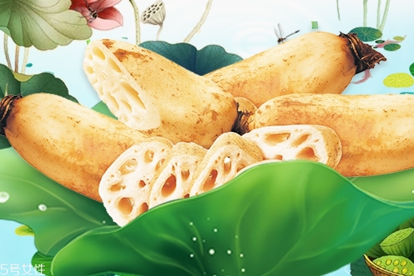 蓮藕切好了怎么保存 這兩個方法都可以 蓮藕切好了怎么保存 這兩個方法都可以