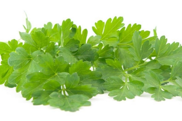 香菜會使人變黑嗎 有這個可能 香菜會使人變黑嗎 有這個可能