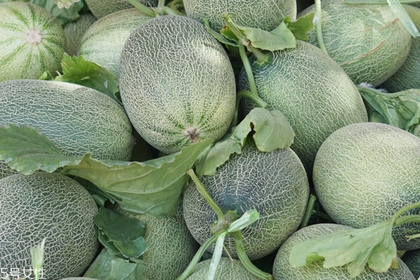 哈密瓜怎么切 這樣切干凈利落 哈密瓜怎么切 這樣切干凈利落