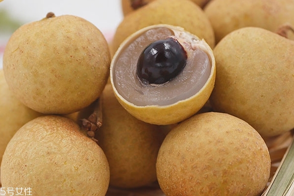 龍眼為什么有蟲子 無害的蟲子 龍眼為什么有蟲子 無害的蟲子