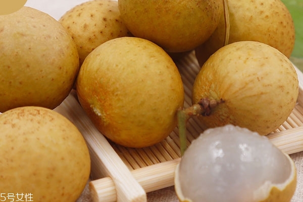 龍眼為什么有蟲子 無害的蟲子 龍眼為什么有蟲子 無害的蟲子