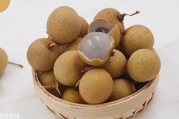 龍眼為什么有蟲子 無害的蟲子 龍眼為什么有蟲子 無害的蟲子