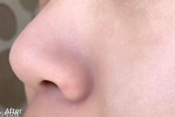 控油散粉哪個好 這款油皮都要買 控油散粉哪個好 這款油皮都要買