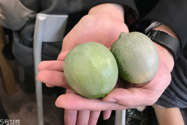 大牌粉底液的平價(jià)替代盤(pán)點(diǎn) 專(zhuān)柜粉底開(kāi)架類(lèi)似款全推薦 大牌粉底液的平價(jià)替代盤(pán)點(diǎn) 專(zhuān)柜粉底開(kāi)架類(lèi)似款全推薦